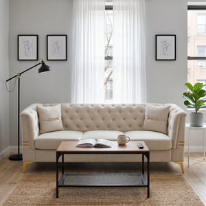 Contemporary Velvet Sofa With 2 Pillows