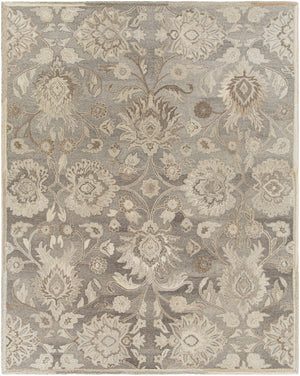 Conesus 1195 Hand Tufted Ivory & Taupe Wool Rug