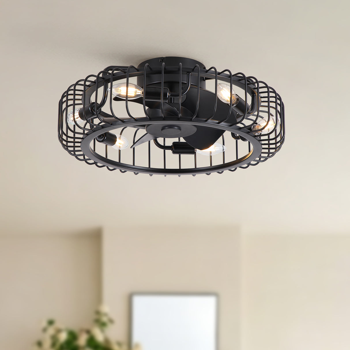 20" Ceiling Fan Light