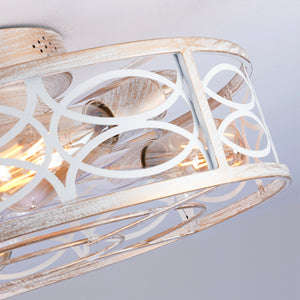 20" Caged Ceiling Fan with Lights and Remote Control