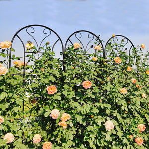 2 Pack Metal Garden Trellis