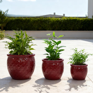 Handmade Ceramic Flower Pot Set of 3