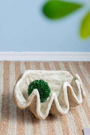 Medium Clam Shell Accent