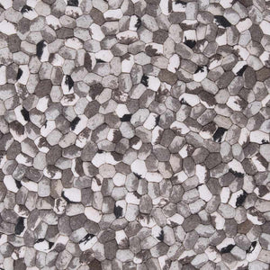 Fillmore Area Carpet - Clearance