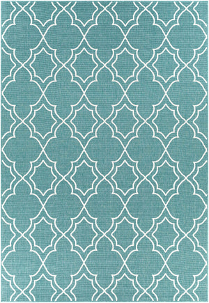 Folsom Area Rug - Clearance