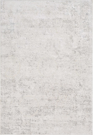 Frankston Faux Silk Rug - Clearance