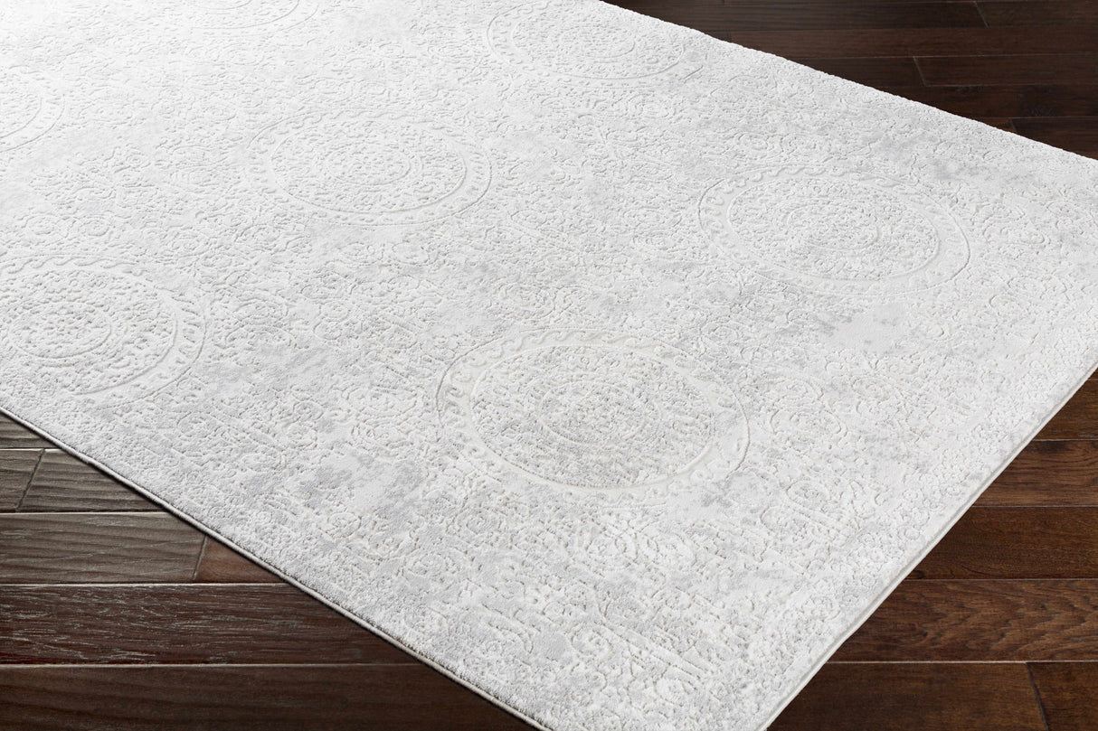 Frankston Faux Silk Rug - Clearance