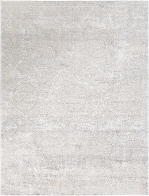 Frankston Faux Silk Rug - Clearance