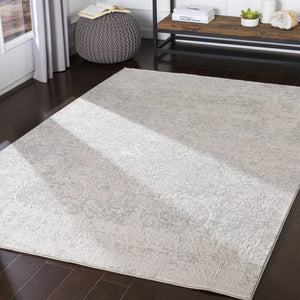 Frankston Faux Silk Rug - Clearance