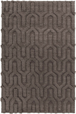 Funkstown Area Rug - Clearance
