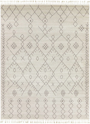 Furman Area Rug - Clearance