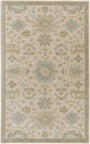 Hazen 1197 Hand Tufted Light Beige Wool Rug
