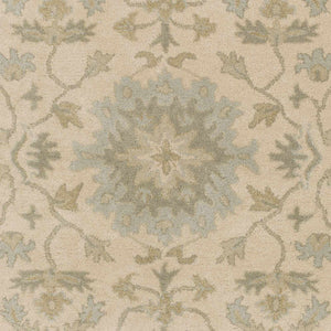 Hazen 1197 Hand Tufted Light Beige Wool Rug