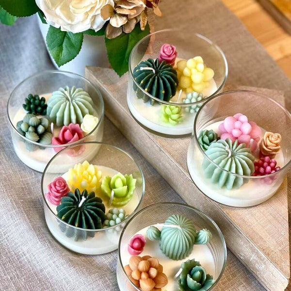 Garden Terrarium Candle – A Touch of Nature’s Serenity