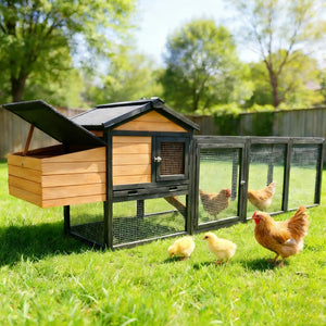 GARDEN STORY Chicken Coop With Run and Nesting Box - view 4