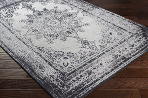 Goodwick Area Rug - Clearance