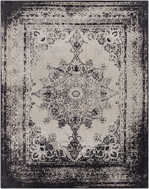 Goodwick Area Rug - Clearance