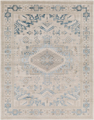 Girikbedro Area Carpet - Clearance