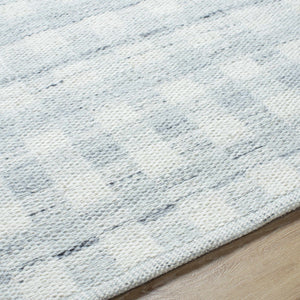 Garth Light Slate Area Rug