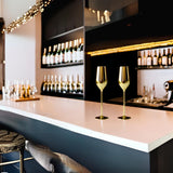 Unbreakable Champagne Flutes (Gold)