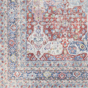 Rust Goma Vintage  Area Rug - Clearance