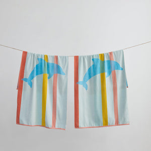2 Pack Vibrant Cotton Beach Towels - Boca Collection
