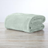 Velvet Plush Blanket - Avianna Collection