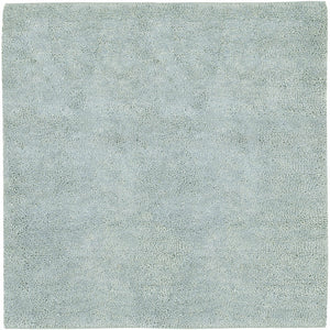 Greenbelt Area Rug - Clearance