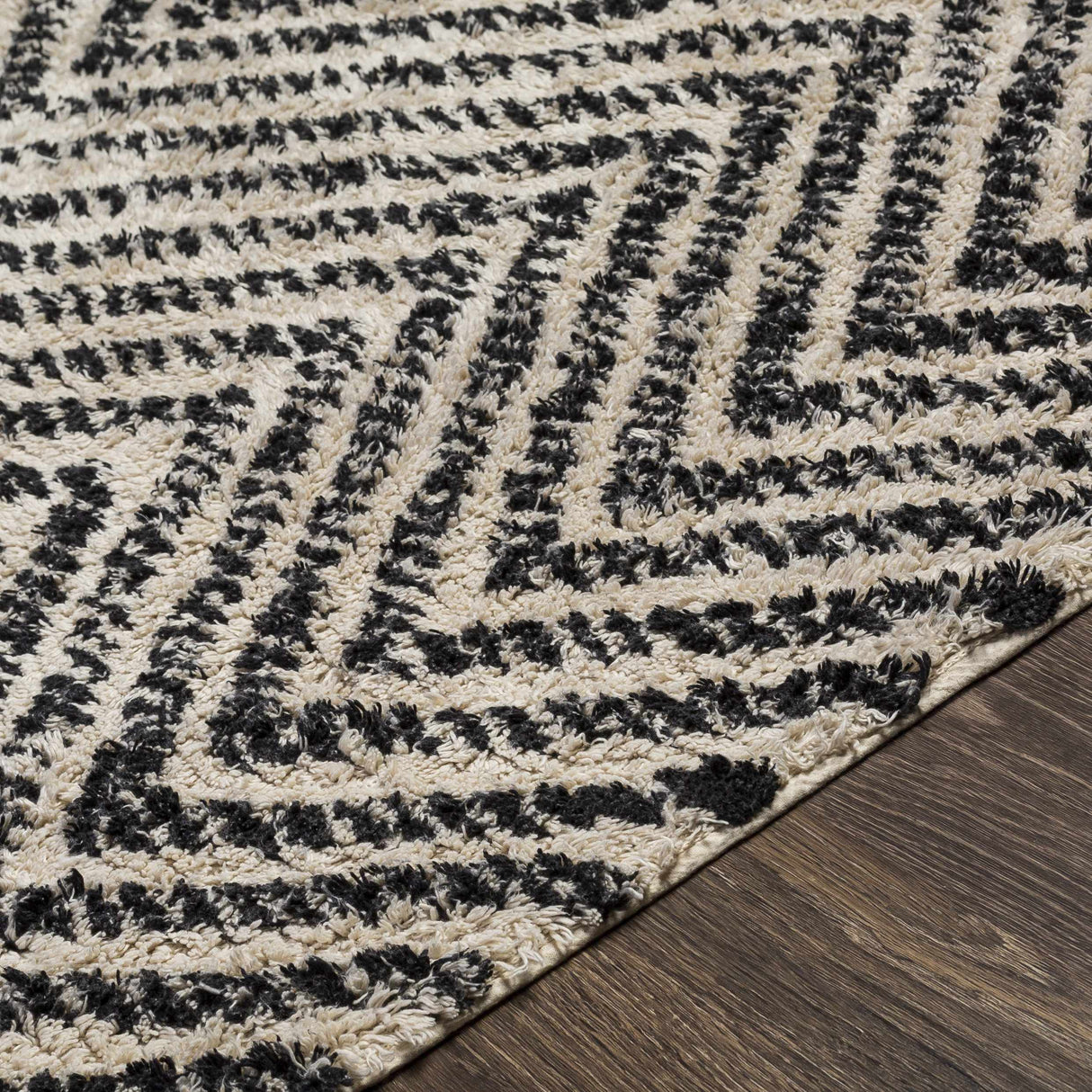 Halton Area Carpet - Clearance