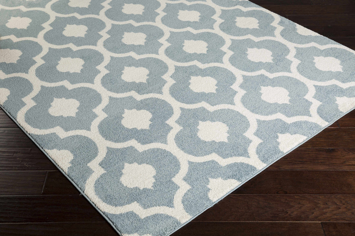 Hamer Area Rug - Clearance