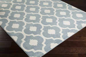 Hamer Area Rug - Clearance