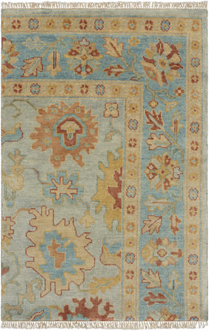 Hauterive Area Rug - Clearance