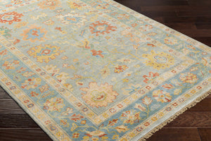 Hauterive Area Rug - Clearance