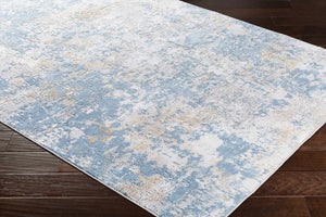 Hawes Faux Silk Rug - Clearance