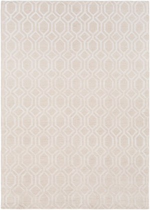 Haynes Area Rug - Clearance