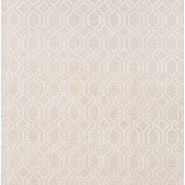 Haynes Area Rug - Clearance