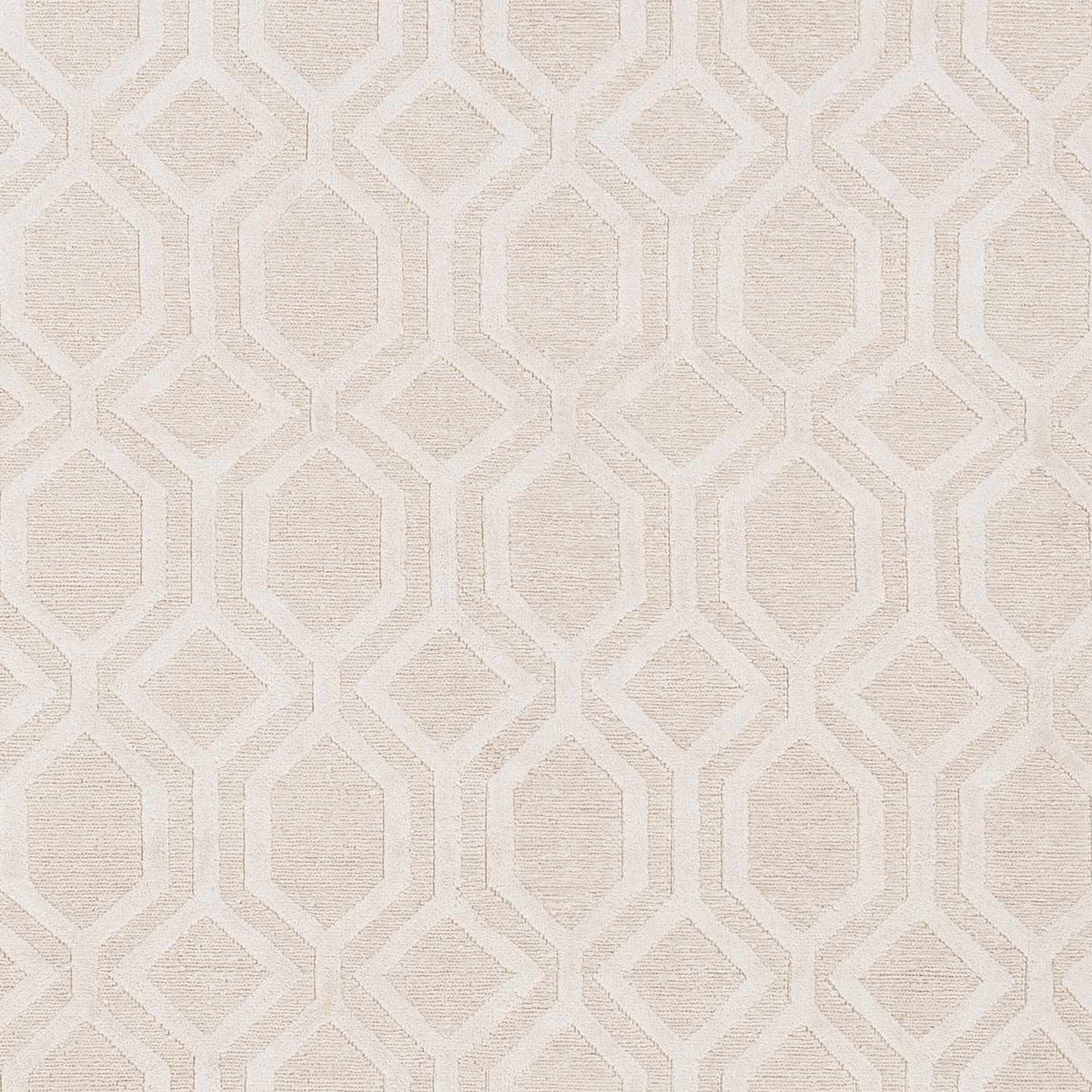 Haynes Area Rug - Clearance