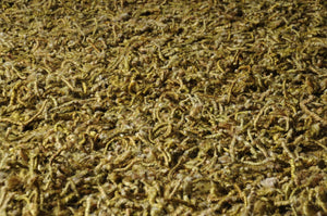 Higganum Area Rug - Clearance