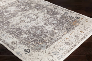 Holicong Area Rug - Clearance