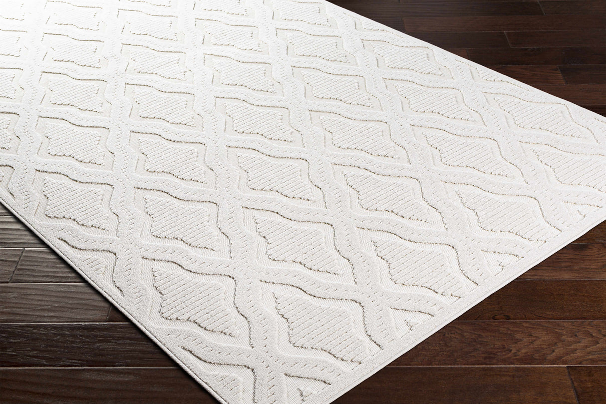 Homebush 3D Outdoor Area Rug - Clearance