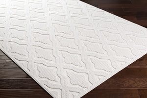 Homebush 3D Outdoor Area Rug - Clearance