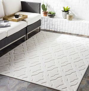 Homebush 3D Outdoor Area Rug - Clearance
