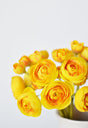 House by JSD 10" Faux Yellow Ranunculus Stem Bundle