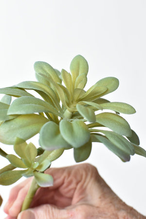 House by JSD 11.5" Faux Trailing Soft Aeonium Spray Stem - view 2