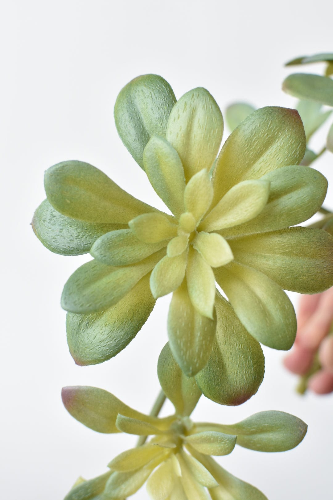 House by JSD 11.5" Faux Trailing Soft Aeonium Spray Stem - view 3