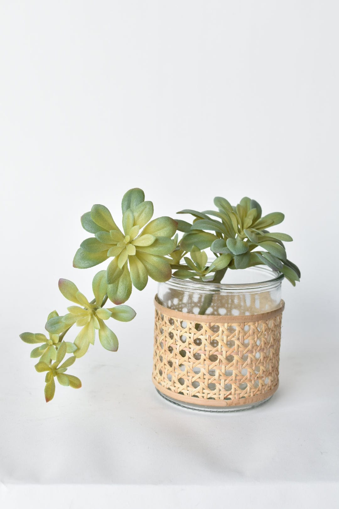 House by JSD 11.5" Faux Trailing Soft Aeonium Spray Stem - view 4