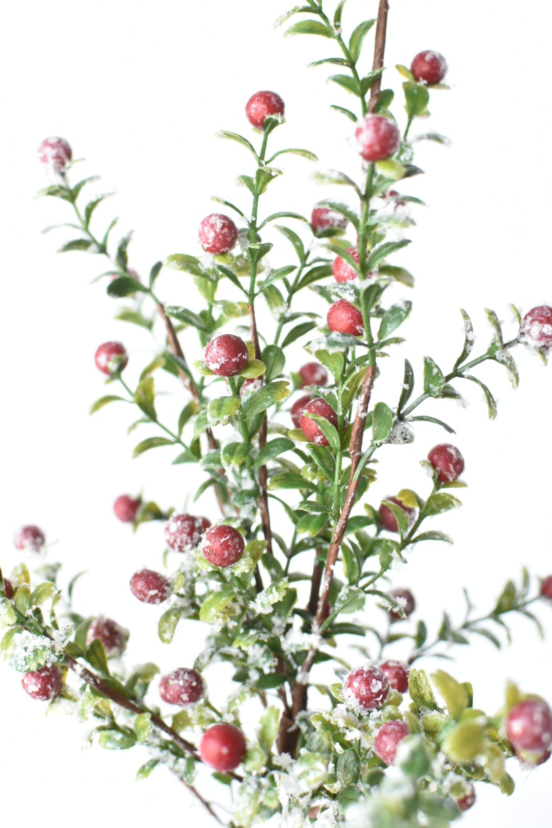 House by JSD 21" Faux Frosted Greenery with Red Berry Stem