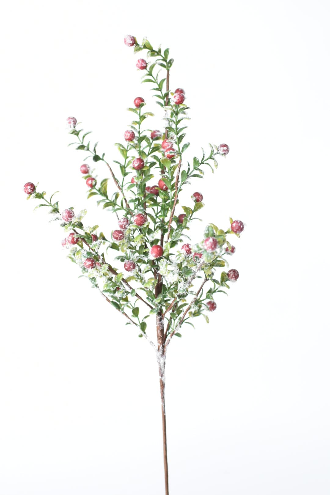 House by JSD 21" Faux Frosted Greenery with Red Berry Stem - view 2