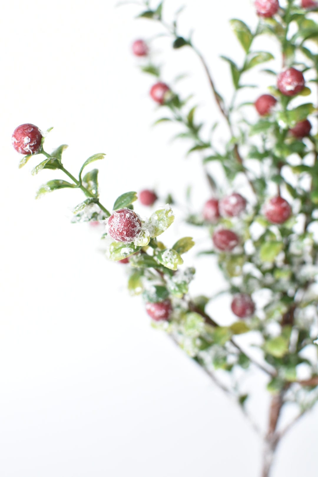 House by JSD 21" Faux Frosted Greenery with Red Berry Stem - view 3