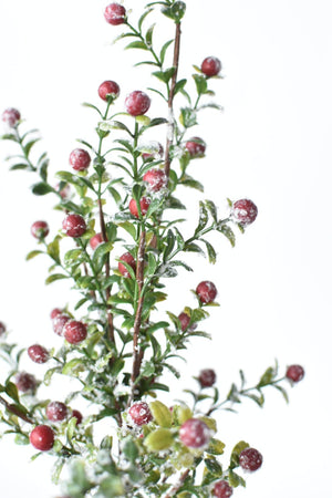 House by JSD 21" Faux Frosted Greenery with Red Berry Stem - view 5